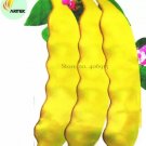 15 seeds Heirloom Roma I Yellow Bean Seeds