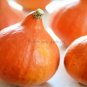 10 seeds Red Kuri Winter Squash Seeds