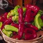 50 seeds Heirloom 'Cubanelle' Pepper Green Red Orange Sweet Pepper