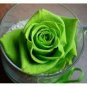 50 seeds Golden Green Rose Seeds