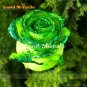 50 seeds Golden Green Rose Seeds