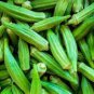 300 seeds Okra Dark Green Shot Gumbo Vegetables Seeds