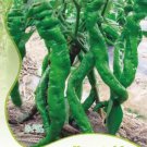 30 seeds Pig Intestines' Long Crooked Hot Chili Pepper Vegetable Seeds