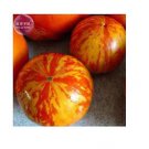100 seeds Heirloom Red Zebra Tomato with Golden Stripe Organic Seeds