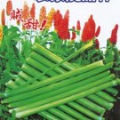 20 seeds Rare Heirloom Very Sweet Green Sugarcane Organic Seeds