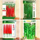 1000 seeds Jintai Red Line Pepper (green line, jinjiao 1.0 F1, pig intestines pepper)