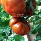 100 seeds Chocolate Ruffled Tomato Seeds