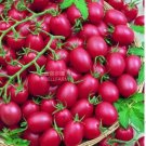 100 seeds Tomato Cherry 'Rose Red Grape' Fruit Seeds