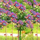 50 seeds Dahlia Tree Bonsai Flowers Colorful