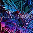 10 seeds Mix Colors Japan Bottle Palm Tree Bonsai Exotic Plants Bonsai Tree Tropical