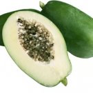 6 seeds Guangxi Green Skin White Inside Giant Papaya Fruit Seeds