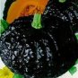 4 seeds Archaizing Antique Pumpkin