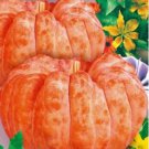 8 seeds Sweet Baby Pumpkin Seeds Original Pack