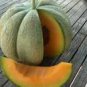 20 seeds Rare Canadian Heirloom Oka Melon Bizard Island Strain Cucumis Melo