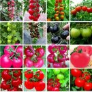 150 seeds Mixed 16 Types Tomatoes S M L sized Red Pink Green Black Brown Tomato Fruit Seeds