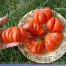 100 seeds Rare Mexican Silly Tomato Hybrid Seeds