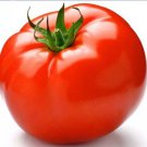 100 seeds Adelebe Bright Red Big Tomato Seeds