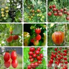 100 seeds Mixed Heirloom 9 Types Edible Cherry Tomato Seeds