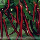 200 seeds Hangzhou Red Long Eggplant F1 Vegetable Seeds