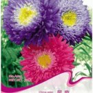 50 seeds Mix China Aster Callistephus Flower Seeds