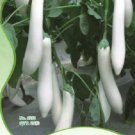 20 seeds Long White Eggplants, Organic Heirloom Vegetables Seeds