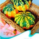 8 seeds 'Diamon' Pumpkin Ornamental Edible Vegetable Seeds
