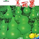 10 seeds Bright Green Ornamental Bottle Gourd Organic Seeds