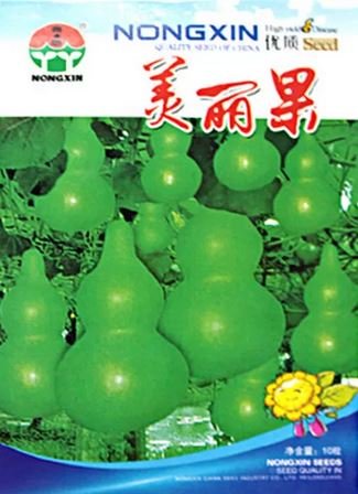 10 seeds Bright Green Ornamental Bottle Gourd Organic Seeds