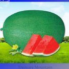 10 High Yield Super Green Oval Shape Red Watermelon Seeds