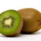 30 seeds Exotic Fruits Hardy Kiwi Vine Fruit Delicious Fruits