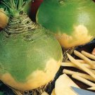 200 seeds Swede 'Wilhelmsburger' Rutabaga Green Top Vegetables