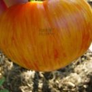 100 seeds Large Tomato Seeds Glowing Gold Neon Red Stripes Fruits