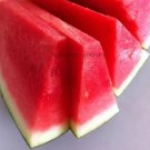 5 seeds Dark Green Seedless Watermelon Red Inside Fruits