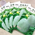 200 seeds Lettuce Fast Growing Vegetable Organic Seeds