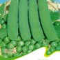 1 seeds Purple Sweet Pea Broad Bean Green Soy Bean Brownbean Bonsai Vegetables Landscaping Seeds