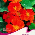 6 seeds Red Garden Nasturtium Shamrock Plant Tropaeolum Majus