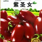 300 seeds 'Purple Shengnv' Indeterminate Tomato Organic Seeds