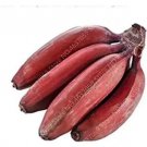 100 seeds Dwarf Banana Tree Seeds - Red Skin