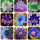 100 seeds Passiflora Fruits Seeds - Mixed 9 Types