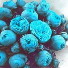 10P seeds Paeonia Lactiflora Seeds - Sky Blue Double Flowers