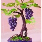 50 seeds Big Miniature Grape Vine Seeds Purple Fruits