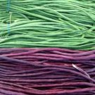 100 seeds Vigna sinensis Seeds Yard Long Bean Mixed Red and Green Color