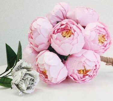 10 seeds Chinese Peony Seeds - Light Pink Ball Flowers