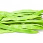 5 seeds Sword Beans Seeds - Green Color