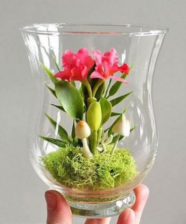 100 seeds Mini Seed Orchid Seeds - Rose Red Flowers