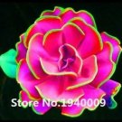 100 seeds Rainbow Succulent Bonsai Seedling Perennial Office Mini Bonsai