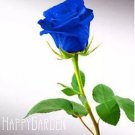 150 seeds Blue Rose Fragrant Gardens Flowering Plants Strong, Blue Dragon Rose