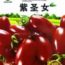 300 seeds 'Purple Shengnv' Indeterminate Tomato Organic Seeds