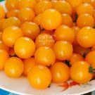 100 seeds Cherry Tomato Mini Golden Round Fruit Seeds