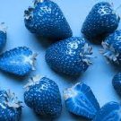300 seeds Light Blue Strawberry Hybrid Seeds Giant Juicy Potted Fruit